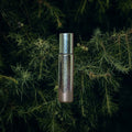Champion: Inspired by Burberry Hero EDT