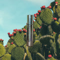 Summer Sun: Inspired by Diptyque Ilio EDT