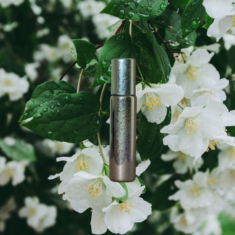 Jasmine: Inspired by Gucci Flora Gorgeous Jasmine EDP