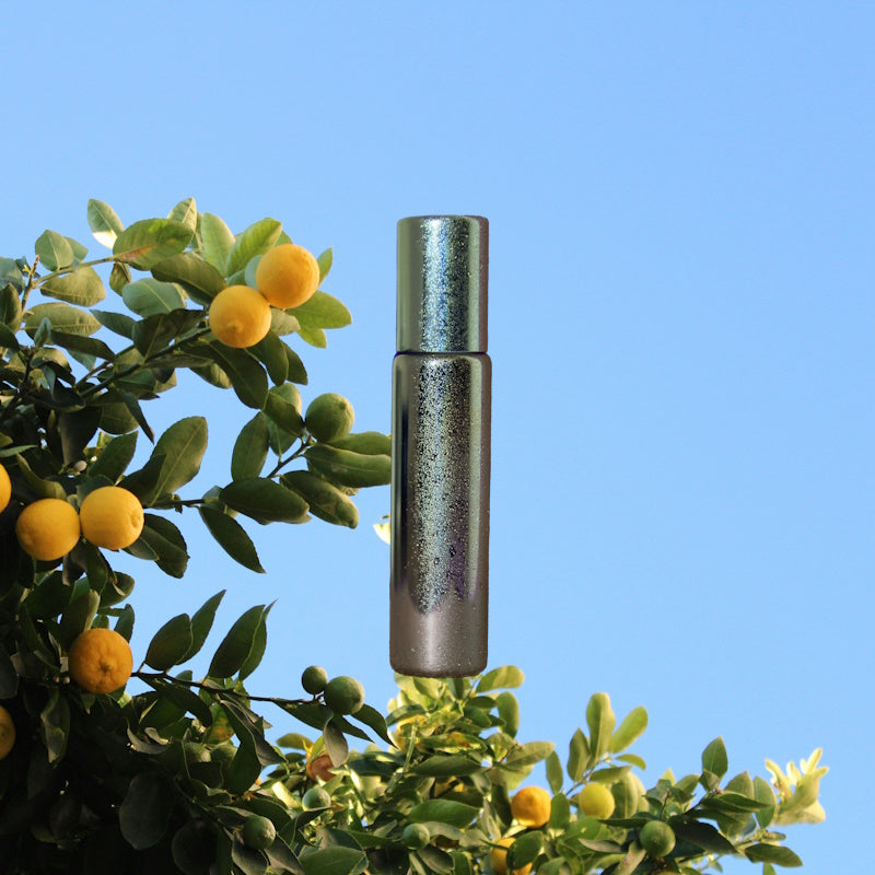 Sky Blue: Inspired by Dolce & Gabbana Light Blue EDT
