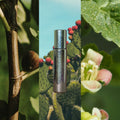 Trio, inspired by Diptyque : Water Shadow, Summer Sun, Friend of Fig